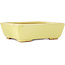 Pot à bonsaï rectangulaire jaune de Hattori - 162 x 135 x 49 mm