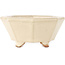Maceta para bonsái octagonal en color blanco roto de Hattori - 125 x 125 x 55 mm