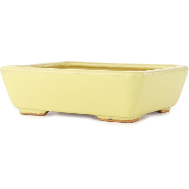 Vaso bonsai rettangolare giallo di Hattori - 162 x 135 x 49 mm