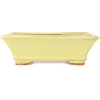 Hattori Tomoyuki 163 mm rechthoekige gele bonsaipot van Hattori, Tokoname, Japan