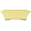 Maceta rectangular amarilla para bonsái de Hattori - 163 x 138 x 50 mm
