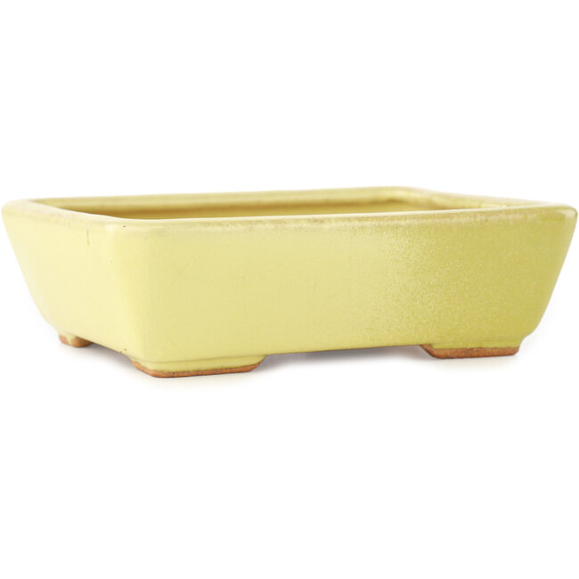 Vaso bonsai rettangolare giallo di Hattori - 162 x 135 x 49 mm