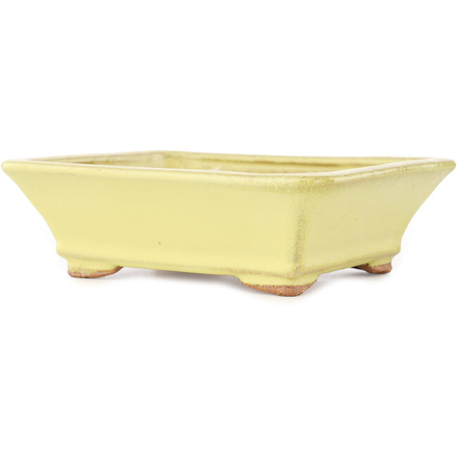 Rechthoekige gele bonsai pot van Hattori - 163 x 138 x 50 mm