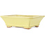 Pot à bonsaï rectangulaire jaune de Hattori - 163 x 138 x 50 mm