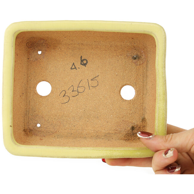 Maceta rectangular amarilla para bonsái de Hattori - 162 x 135 x 49 mm