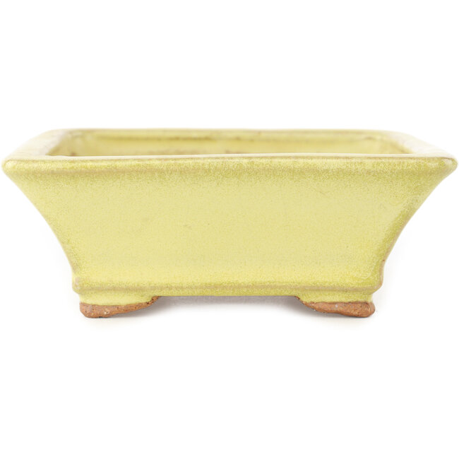 Pot à bonsaï rectangulaire jaune de Hattori - 163 x 138 x 50 mm