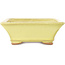 Maceta rectangular amarilla para bonsái de Hattori - 163 x 138 x 50 mm