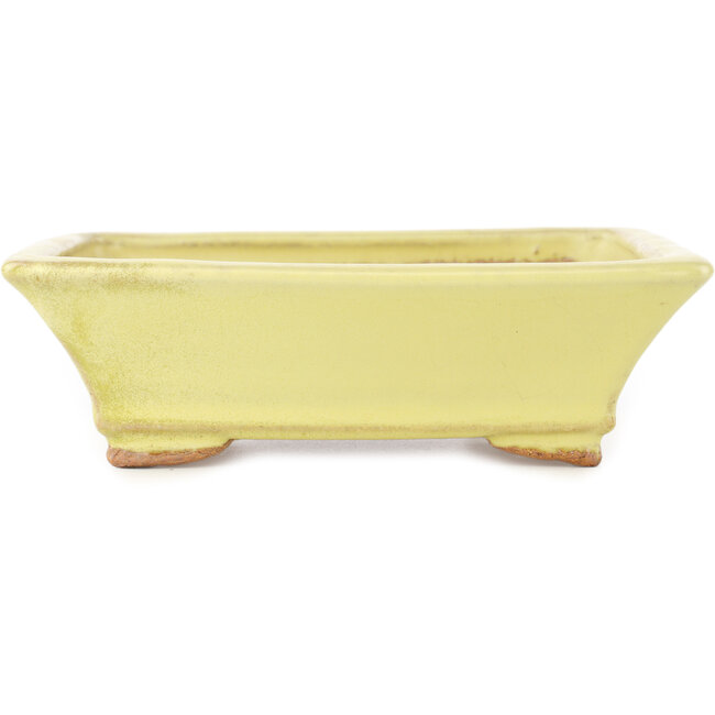 Vaso bonsai rettangolare giallo di Hattori - 163 x 138 x 50 mm