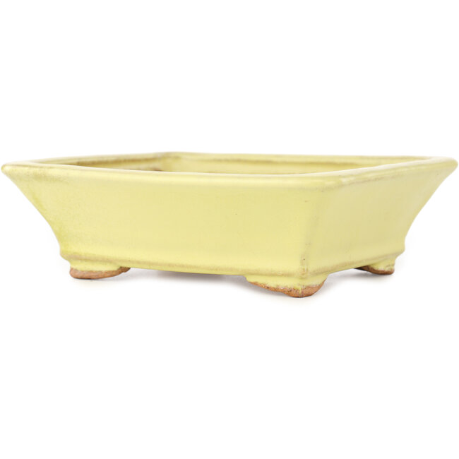 Pot à bonsaï rectangulaire jaune de Hattori - 163 x 138 x 50 mm
