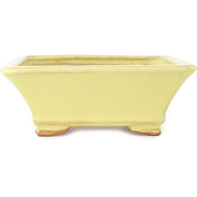Maceta rectangular amarilla para bonsái de Hattori - 163 x 138 x 50 mm