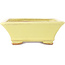 Maceta rectangular amarilla para bonsái de Hattori - 163 x 138 x 50 mm