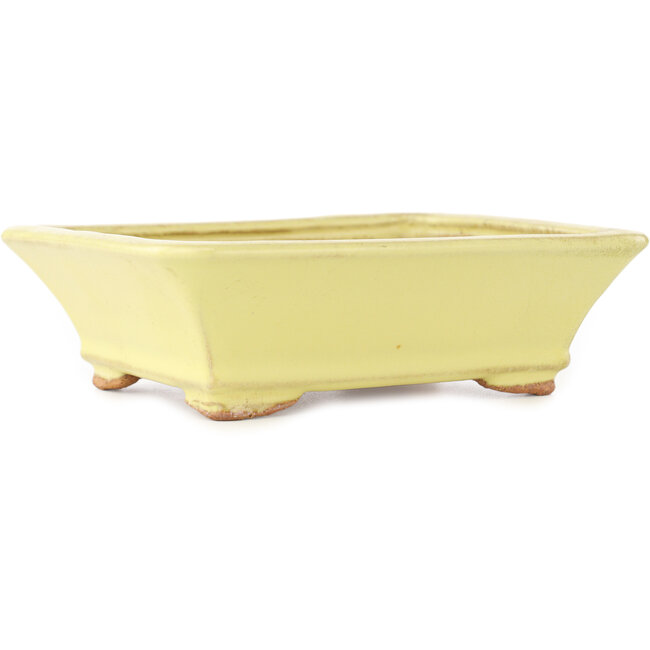 Rectangular yellow bonsai pot by Hattori - 163 x 138 x 50 mm