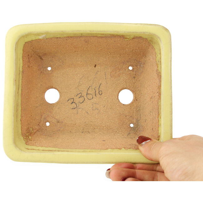 Rechthoekige gele bonsai pot van Hattori - 163 x 138 x 50 mm