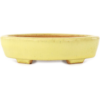  Hattori Tomoyuki Pot à bonsaï mokko jaune 164 mm par Hattori, Tokoname, Japon