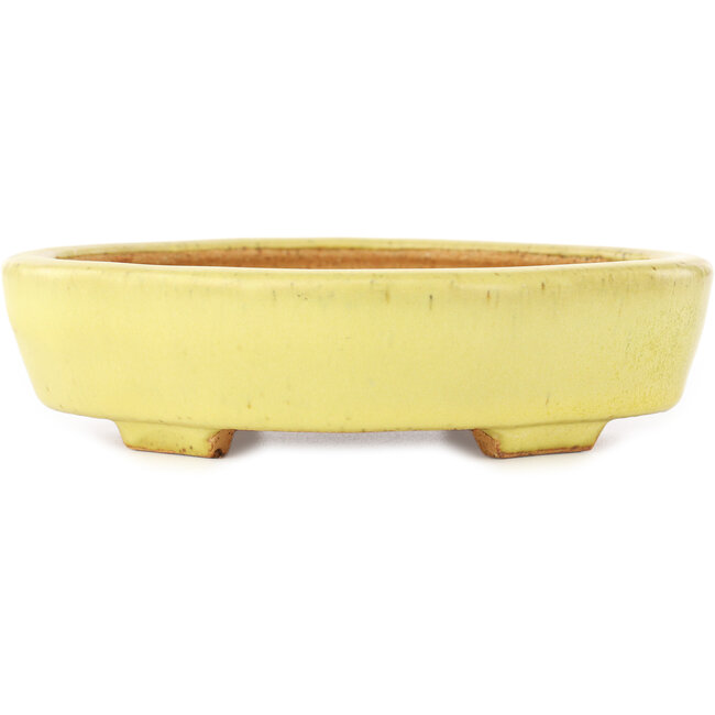 Maceta para bonsái amarilla Mokko de Hattori - 164 x 141 x 43 mm