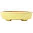 Pot à bonsaï Mokko jaune par Hattori - 164 x 141 x 43 mm