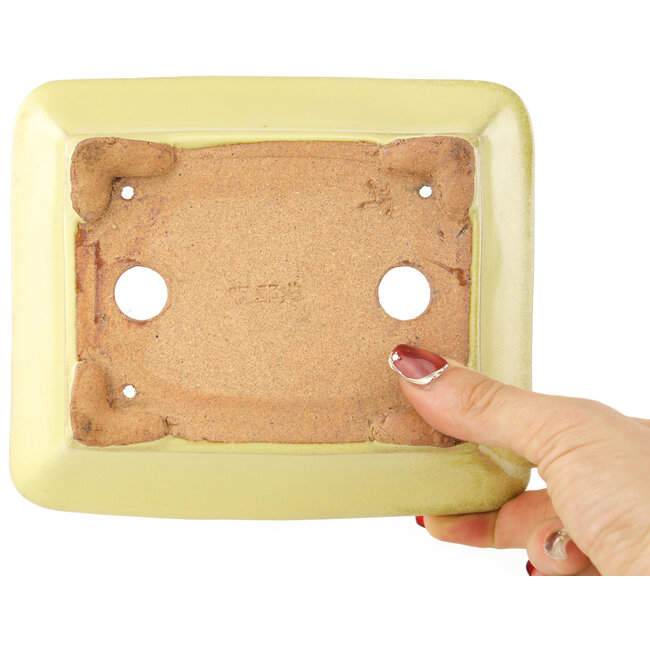 Pot à bonsaï rectangulaire jaune de Hattori - 163 x 138 x 50 mm