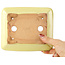 Maceta rectangular amarilla para bonsái de Hattori - 163 x 138 x 50 mm