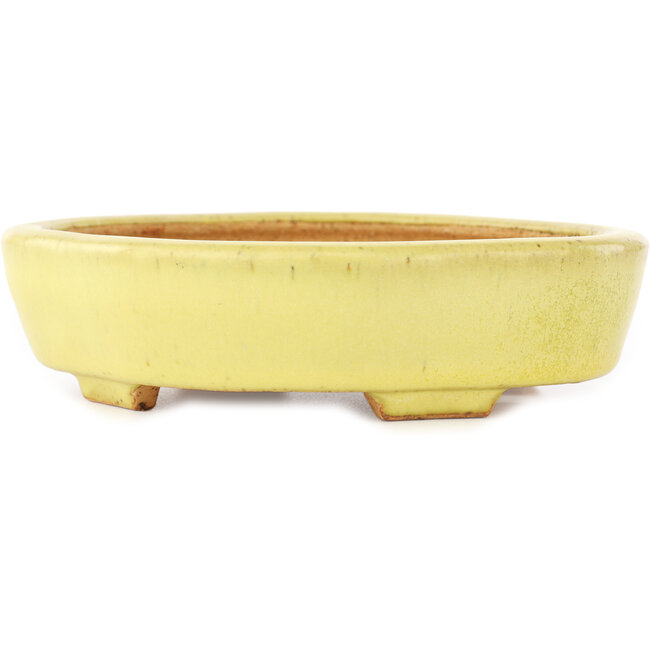 Maceta para bonsái amarilla Mokko de Hattori - 164 x 141 x 43 mm