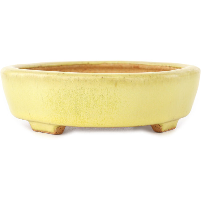 Mokko yellow bonsai pot by Hattori - 164 x 141 x 43 mm