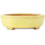 Maceta para bonsái amarilla Mokko de Hattori - 164 x 141 x 43 mm