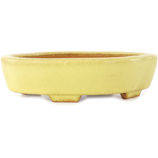 Vaso bonsai giallo Mokko di Hattori - 164 x 141 x 43 mm