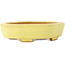 Maceta para bonsái amarilla Mokko de Hattori - 164 x 141 x 43 mm