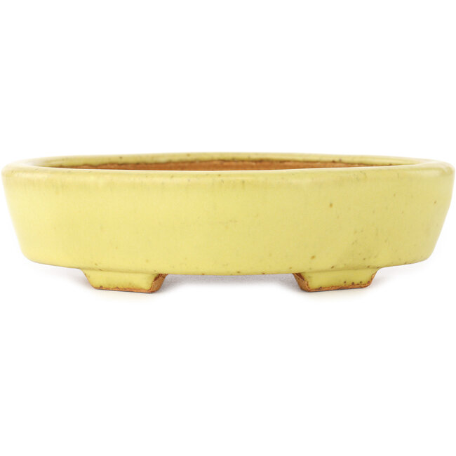 Maceta para bonsái amarilla Mokko de Hattori - 164 x 141 x 43 mm