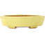 Maceta para bonsái amarilla Mokko de Hattori - 164 x 141 x 43 mm