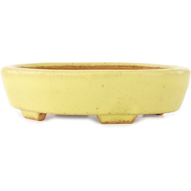 Mokko yellow bonsai pot by Hattori - 164 x 141 x 43 mm