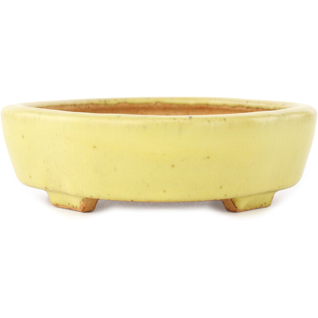 Pot à bonsaï Mokko jaune par Hattori - 164 x 141 x 43 mm