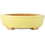 Maceta para bonsái amarilla Mokko de Hattori - 164 x 141 x 43 mm