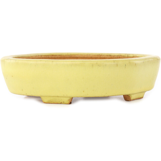 Mokko gele bonsai pot van Hattori - 164 x 141 x 43 mm