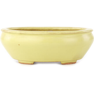  Hattori Tomoyuki Pot à bonsaï ovale jaune de 160 mm par Hattori, Tokoname, Japon
