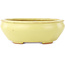Pot à bonsaï ovale jaune de Hattori - 160 x 140 x 57 mm