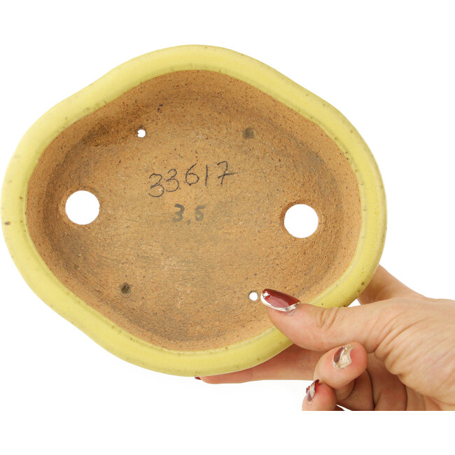 Pot à bonsaï Mokko jaune par Hattori - 164 x 141 x 43 mm