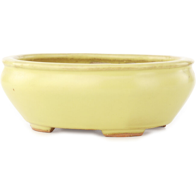 Vaso bonsai ovale giallo di Hattori - 160 x 140 x 57 mm