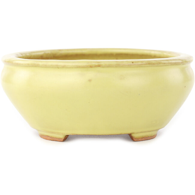 Maceta ovalada amarilla para bonsái de Hattori - 160 x 140 x 57 mm