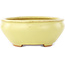 Pot à bonsaï ovale jaune de Hattori - 160 x 140 x 57 mm