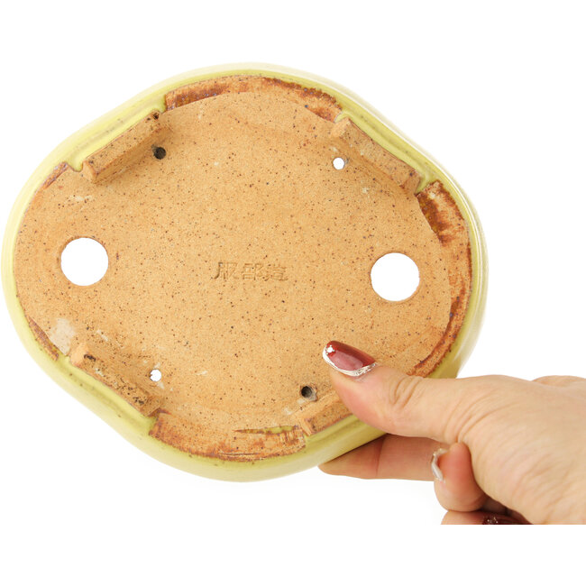 Maceta para bonsái amarilla Mokko de Hattori - 164 x 141 x 43 mm