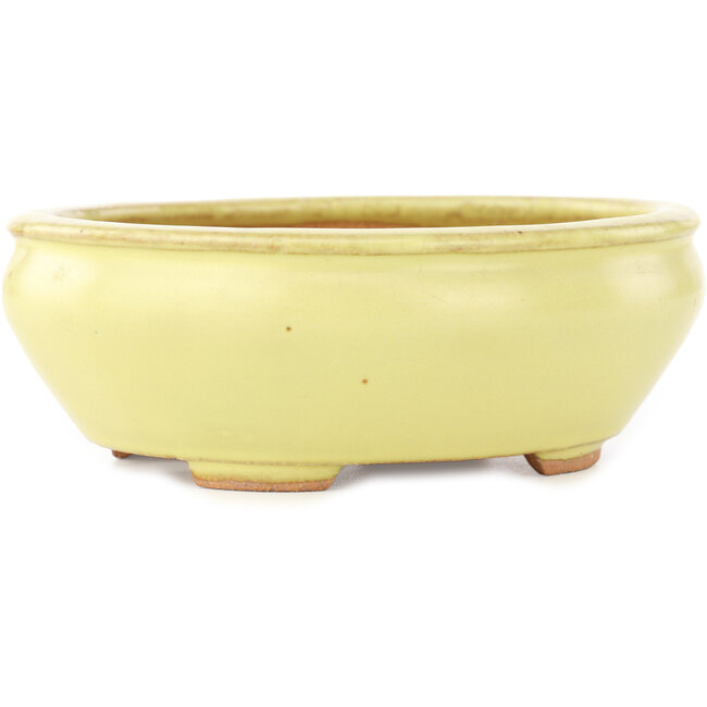 Pot à bonsaï ovale jaune de Hattori - 160 x 140 x 57 mm
