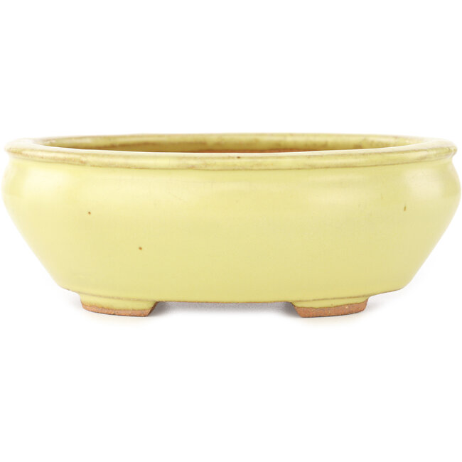 Vaso bonsai ovale giallo di Hattori - 160 x 140 x 57 mm