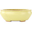 Pot à bonsaï ovale jaune de Hattori - 160 x 140 x 57 mm