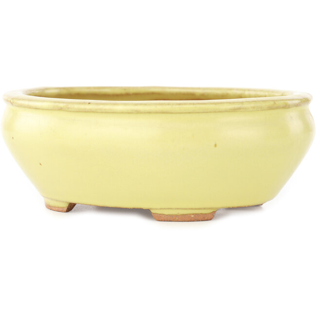 Pot à bonsaï ovale jaune de Hattori - 160 x 140 x 57 mm