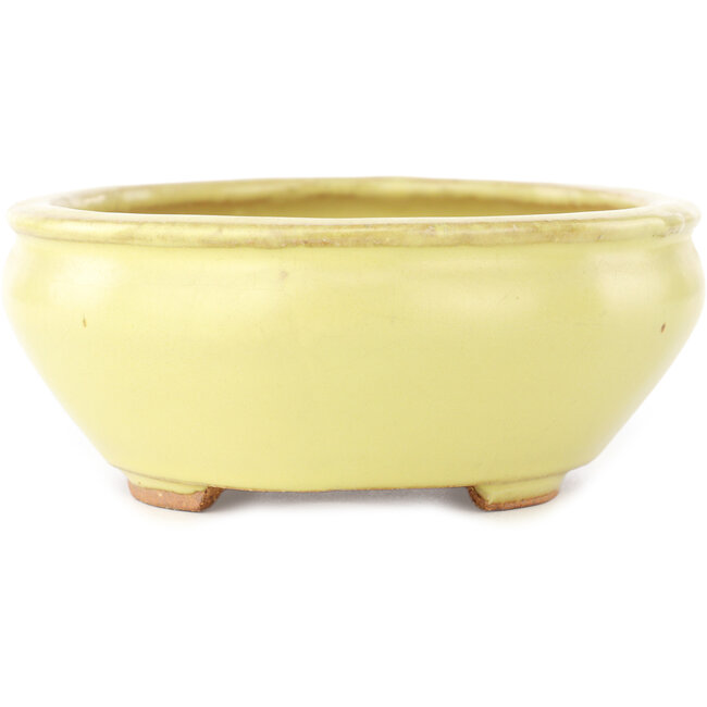 Vaso bonsai ovale giallo di Hattori - 160 x 140 x 57 mm