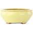 Pot à bonsaï ovale jaune de Hattori - 160 x 140 x 57 mm