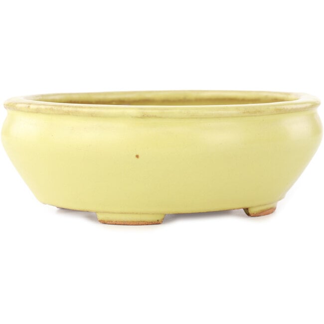 Ovaler gelber Bonsai-Topf von Hattori - 160 x 140 x 57 mm