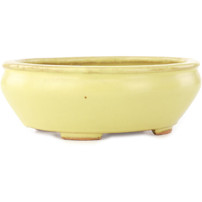 Vaso bonsai ovale giallo di Hattori - 160 x 140 x 57 mm