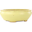 Pot à bonsaï ovale jaune de Hattori - 160 x 140 x 57 mm