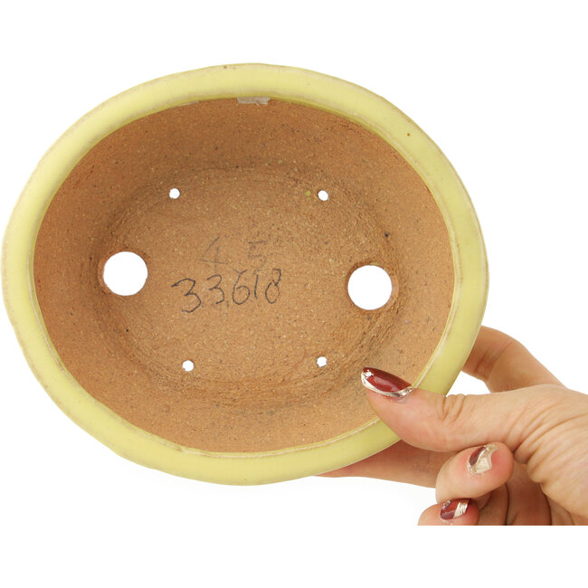 Maceta ovalada amarilla para bonsái de Hattori - 160 x 140 x 57 mm